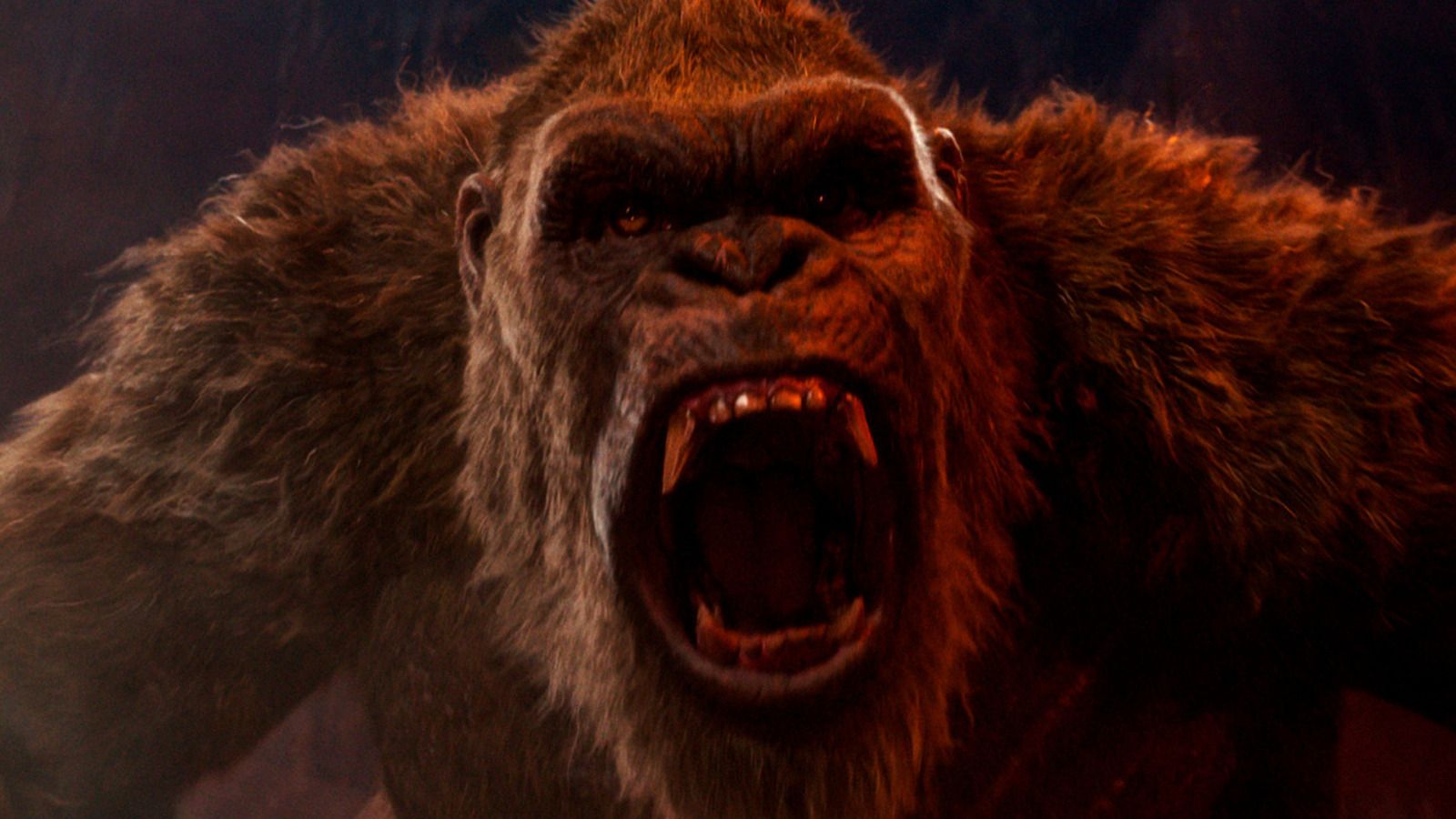 kong disney+