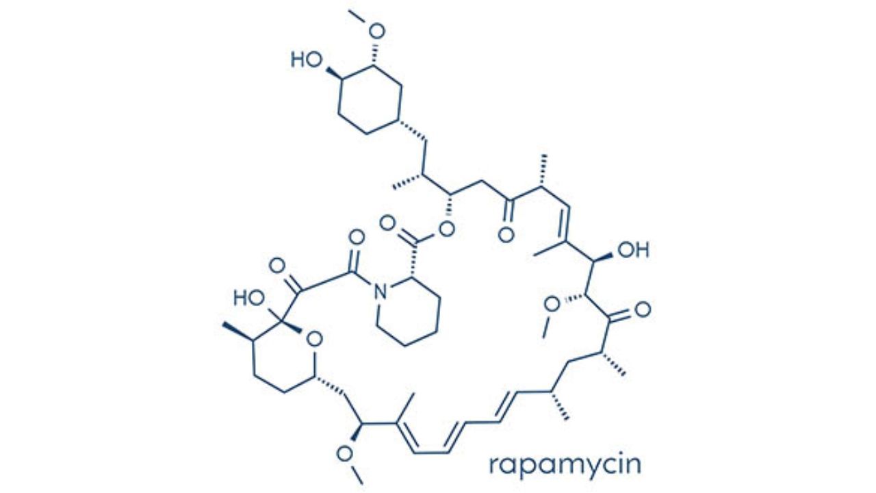 Chemical structure of Rapamycin