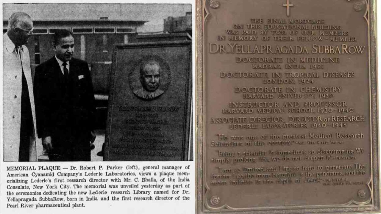 Plaque