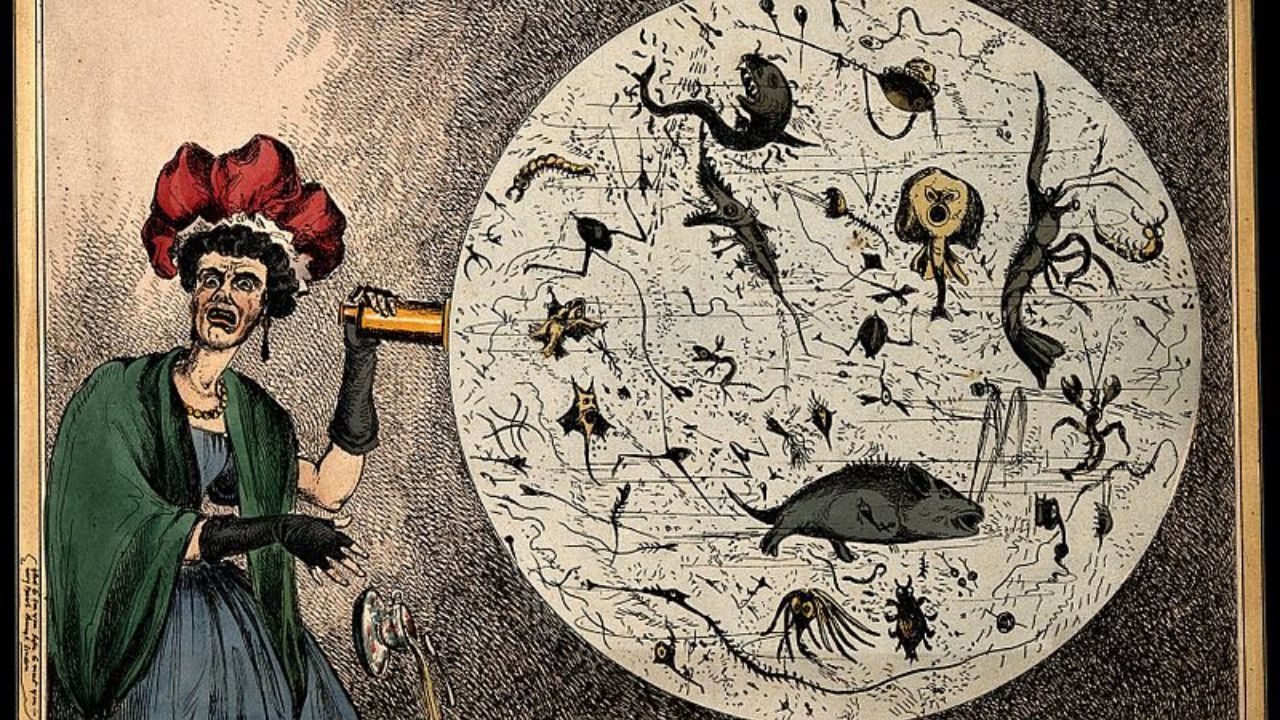cholera