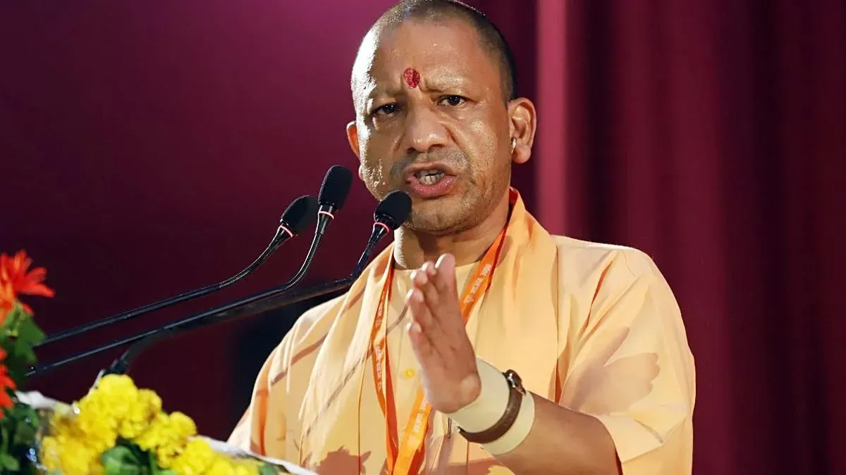 yogi