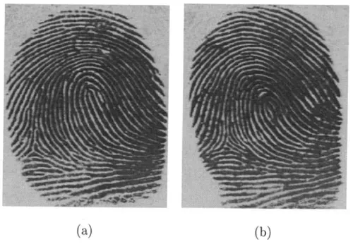 finger print