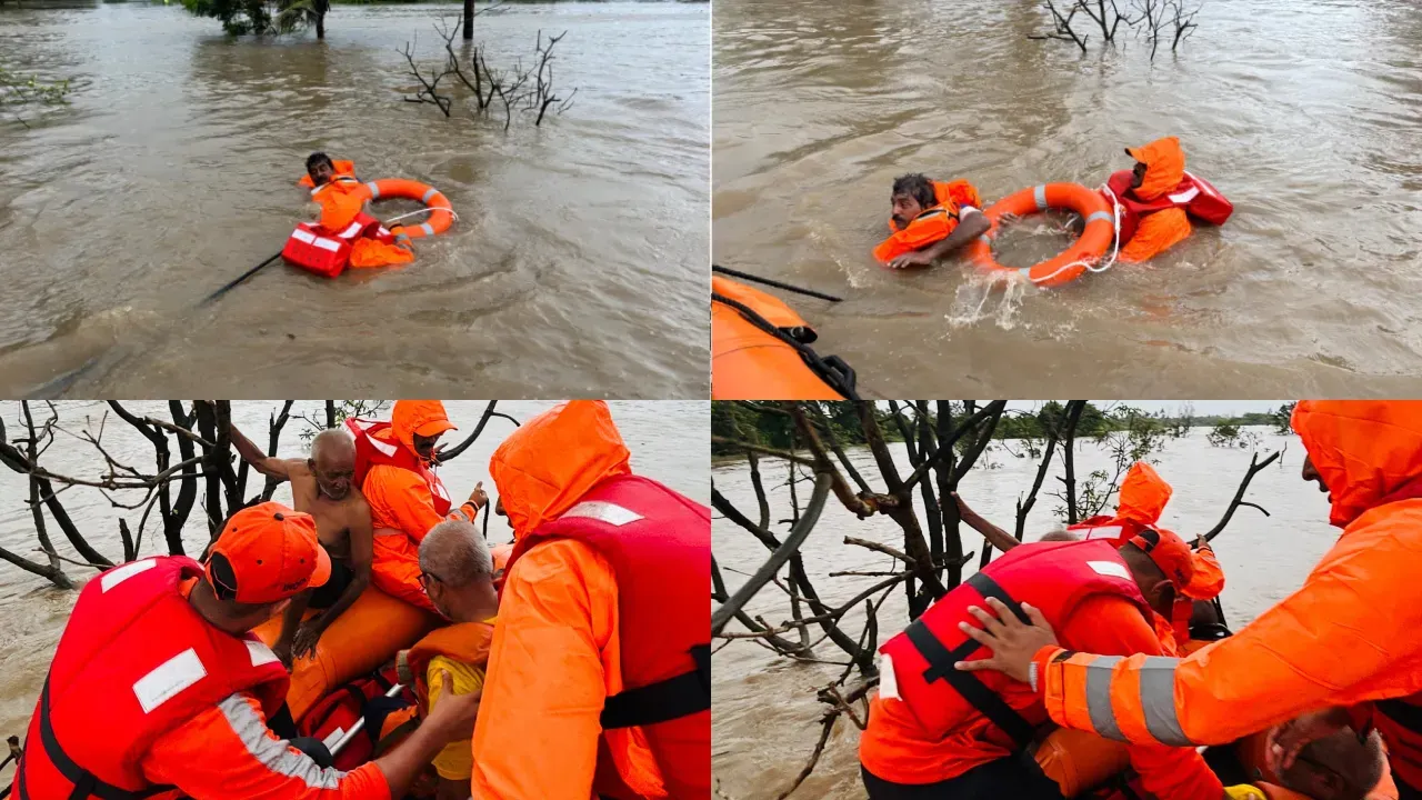 Gujarat Flood