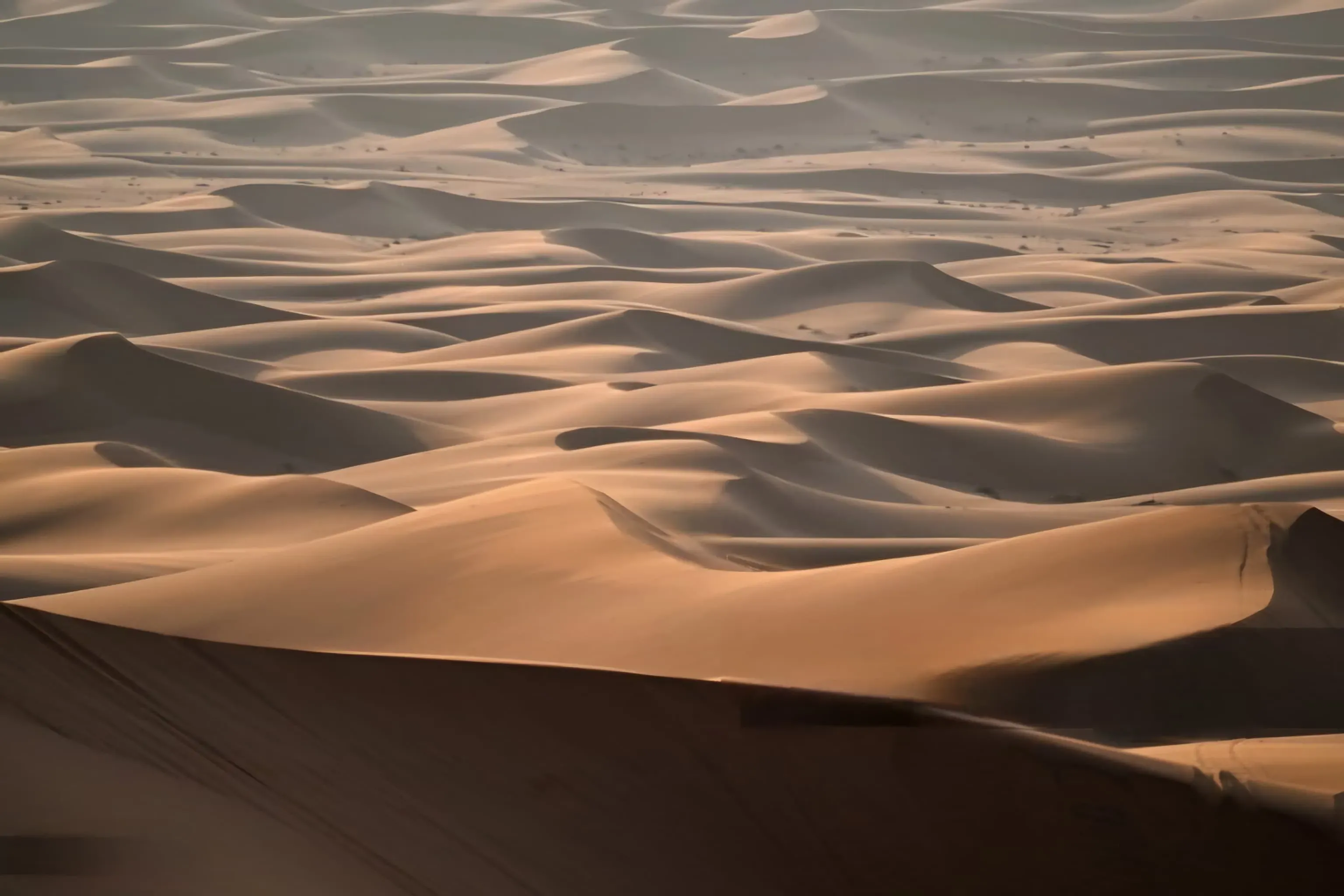 saudi desert