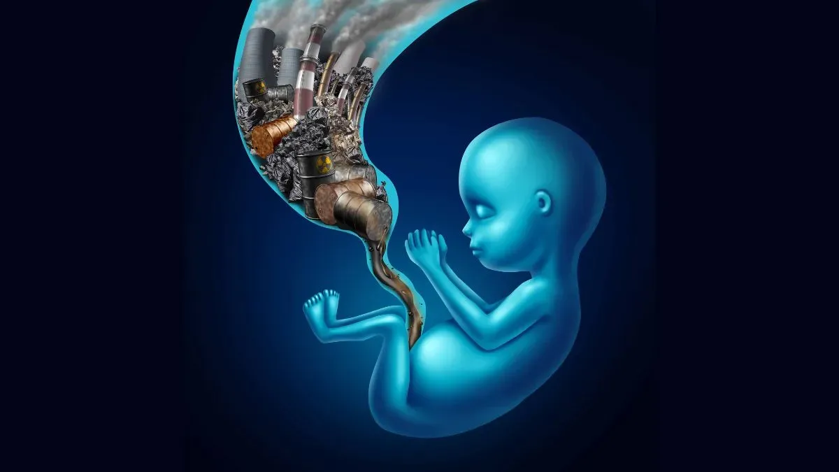 pollution and miscarriage