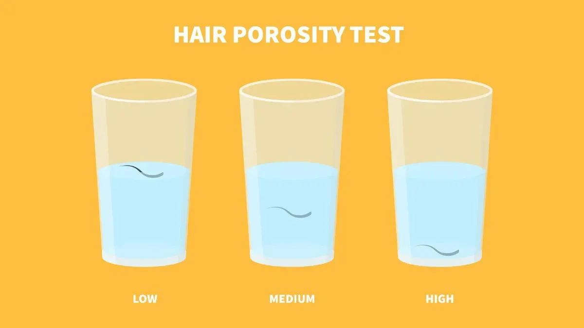 hair porosity test