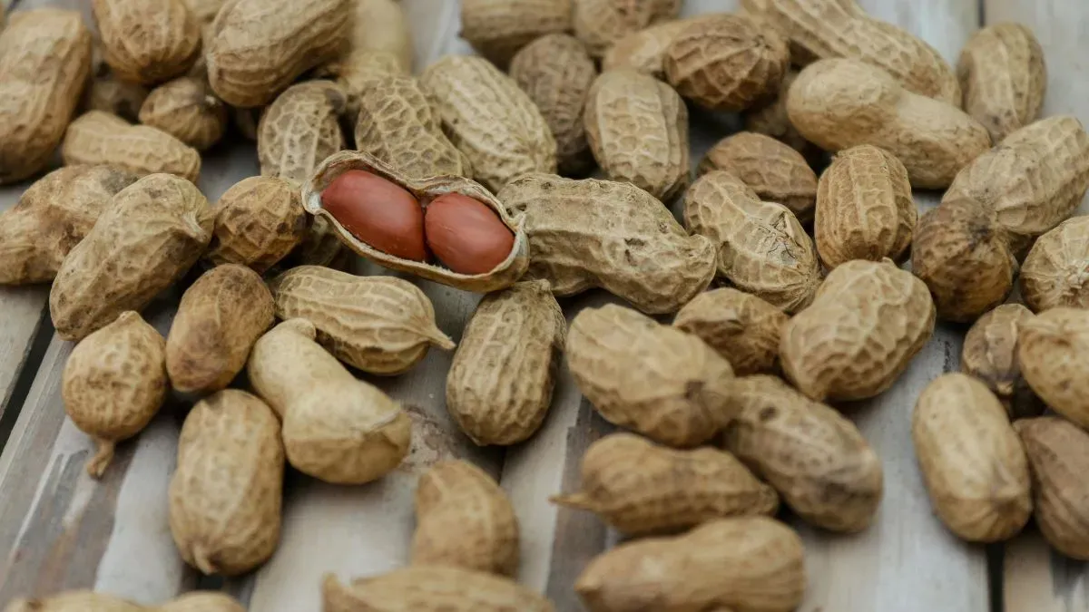 peanut