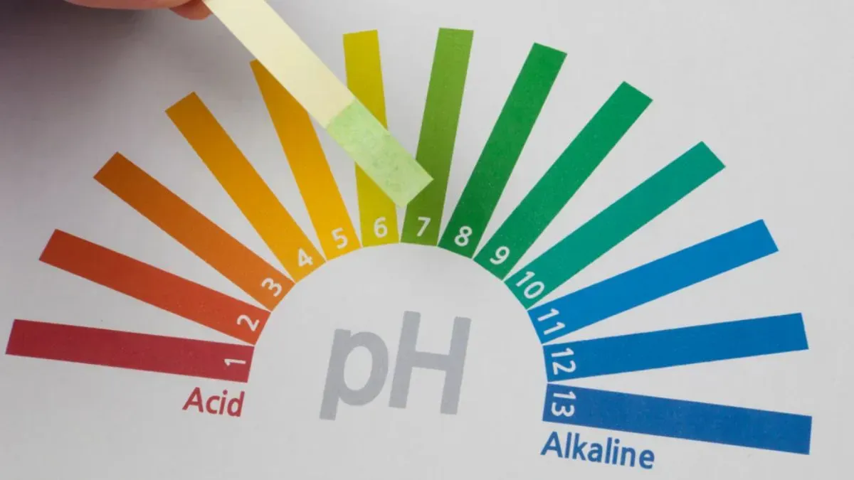 ph level mouth