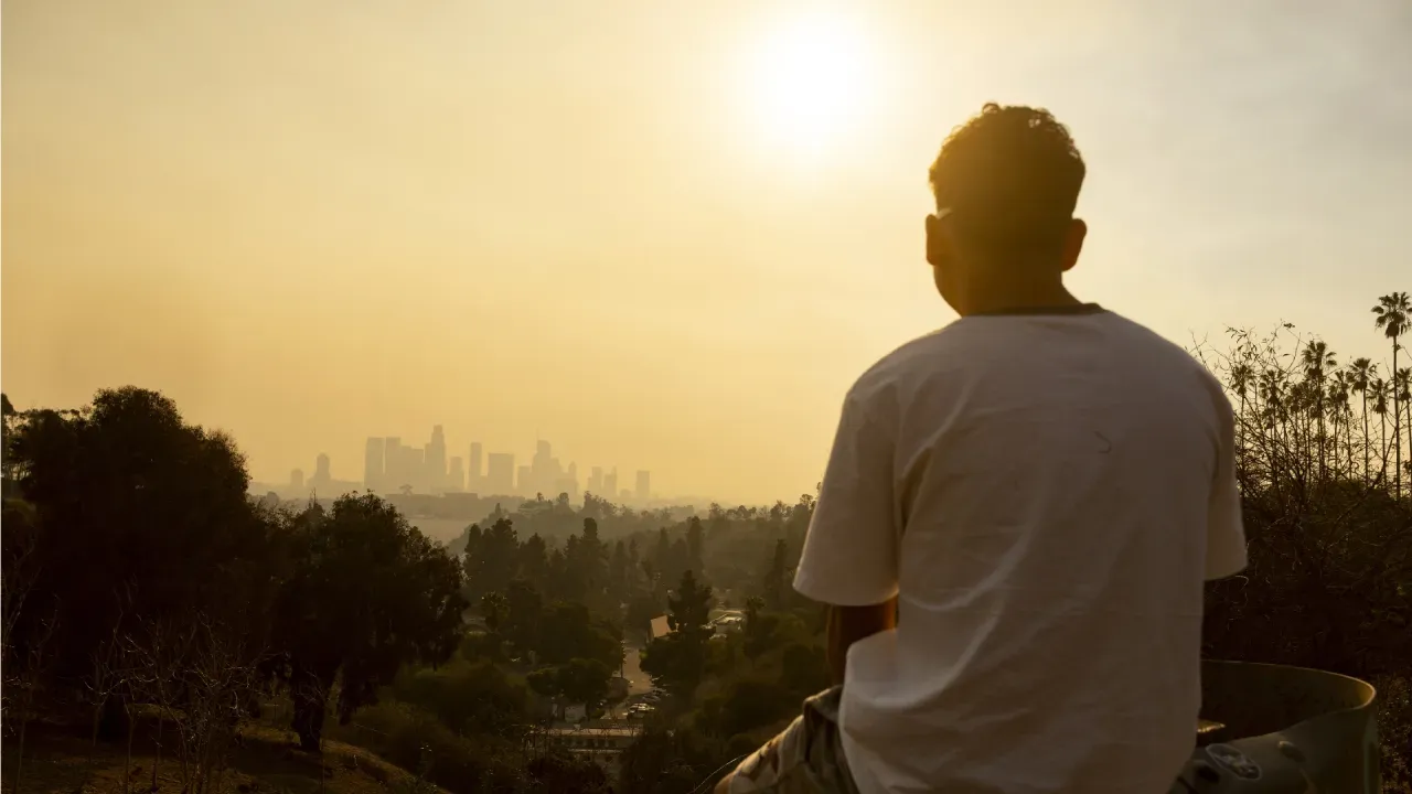 California Fire Locals