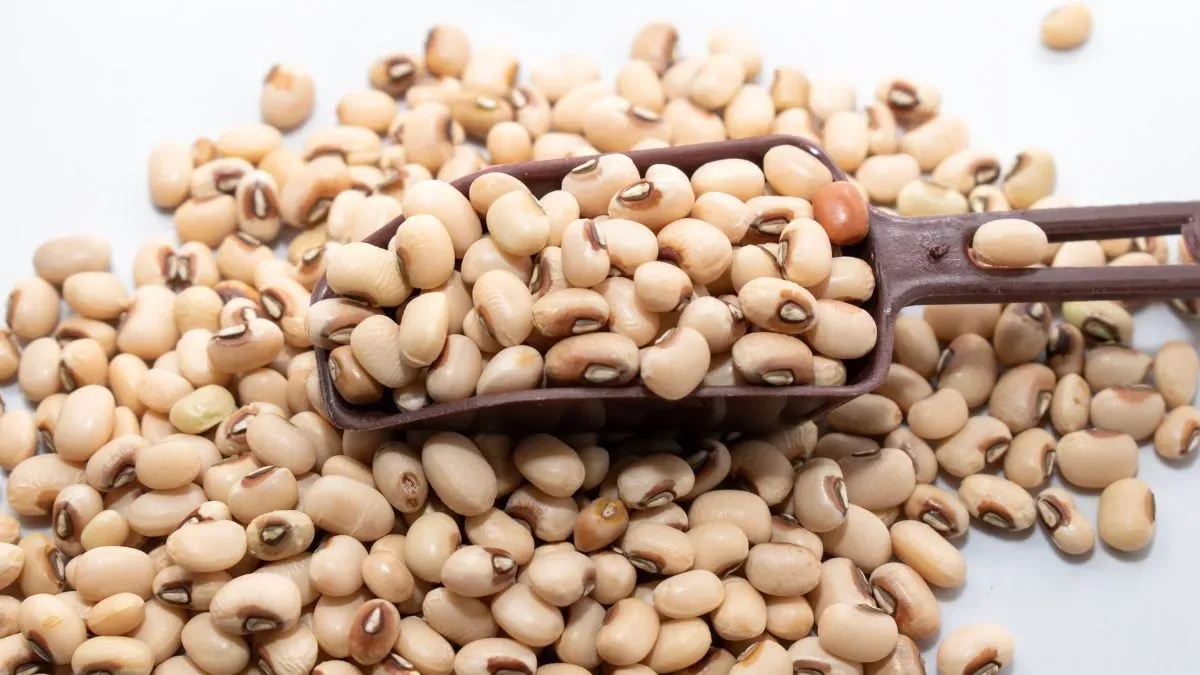 lobia benefits