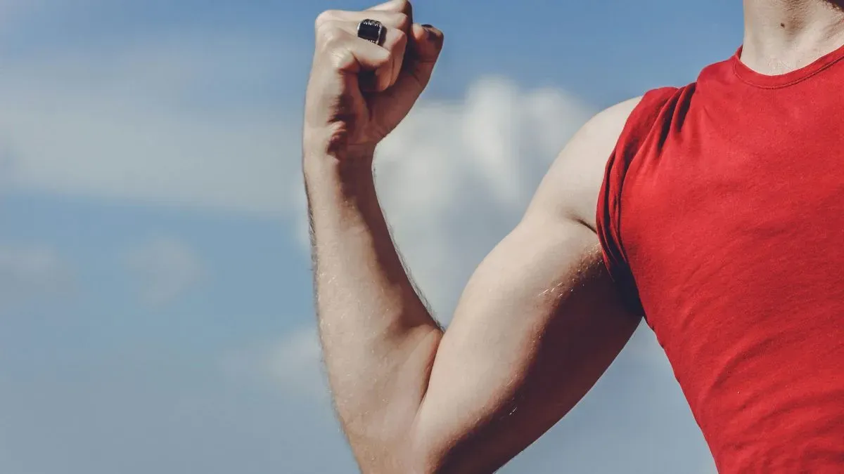 muscles