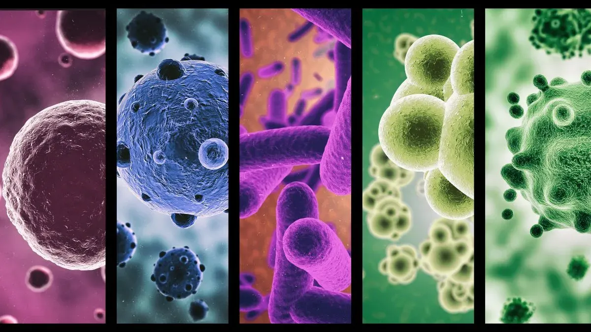 superbugs
