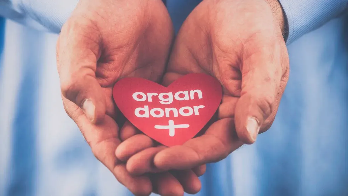 organ donor