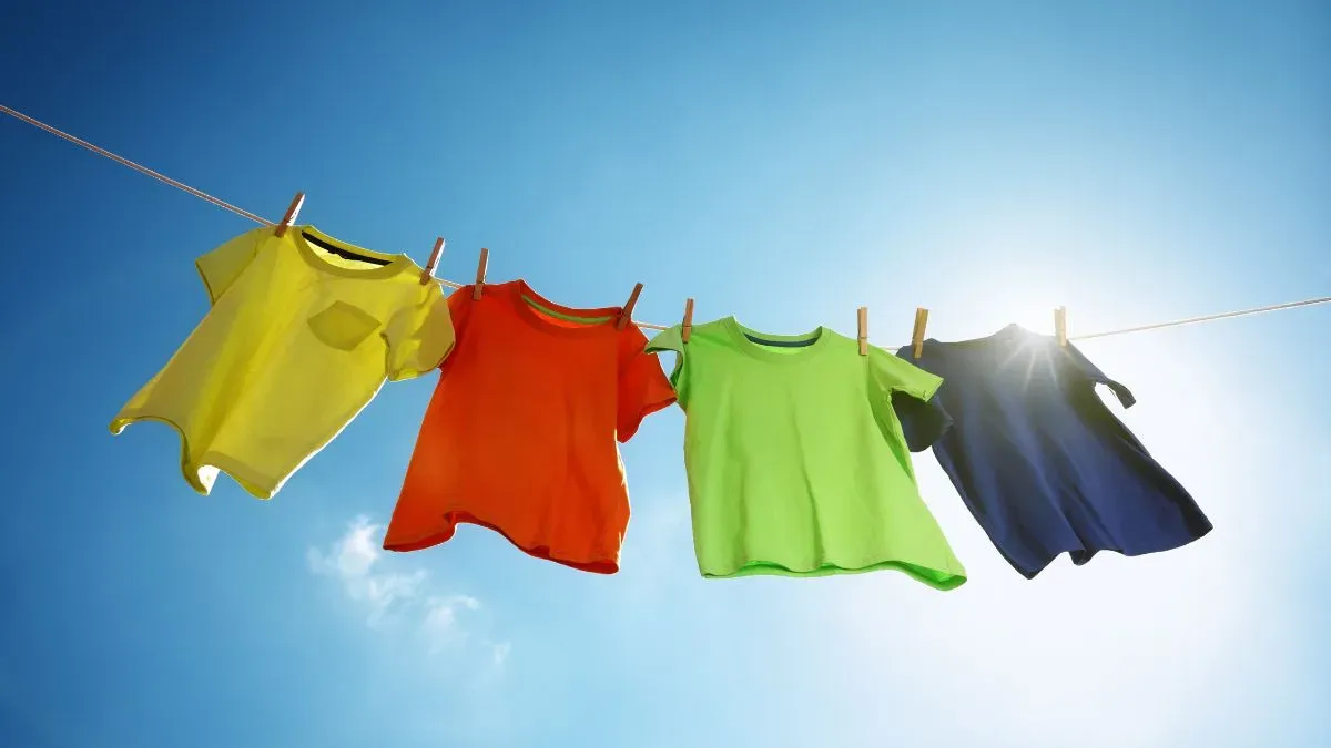clothes