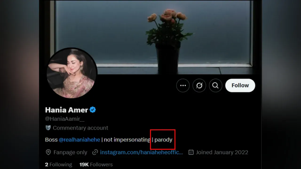 Hania Amir Parody Account