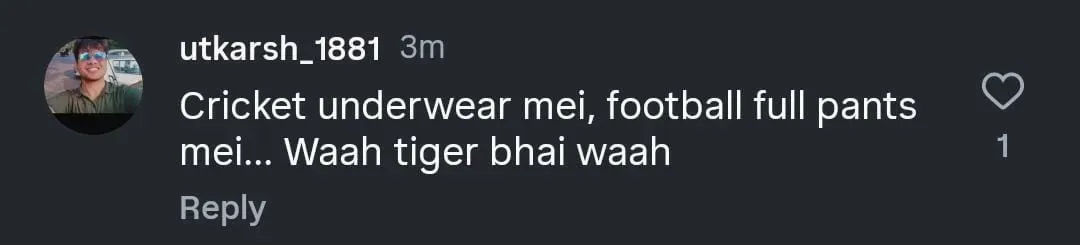 tiger