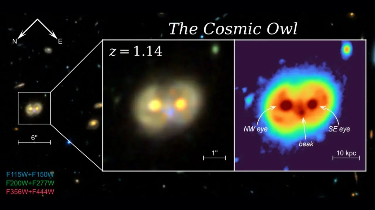 The Cosmic Owl