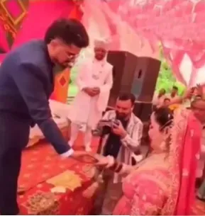 himachal wedding video