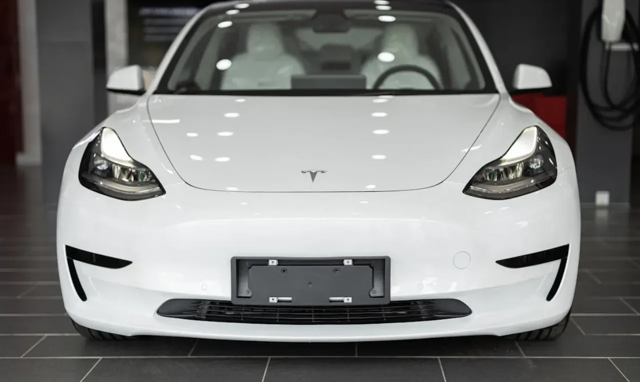 elon_musk_tesla_india