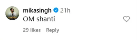 mika singh