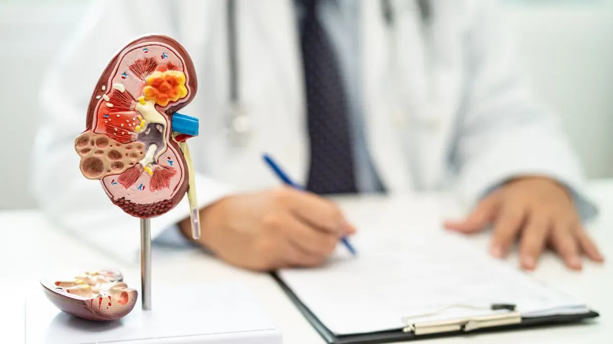 kidney function test