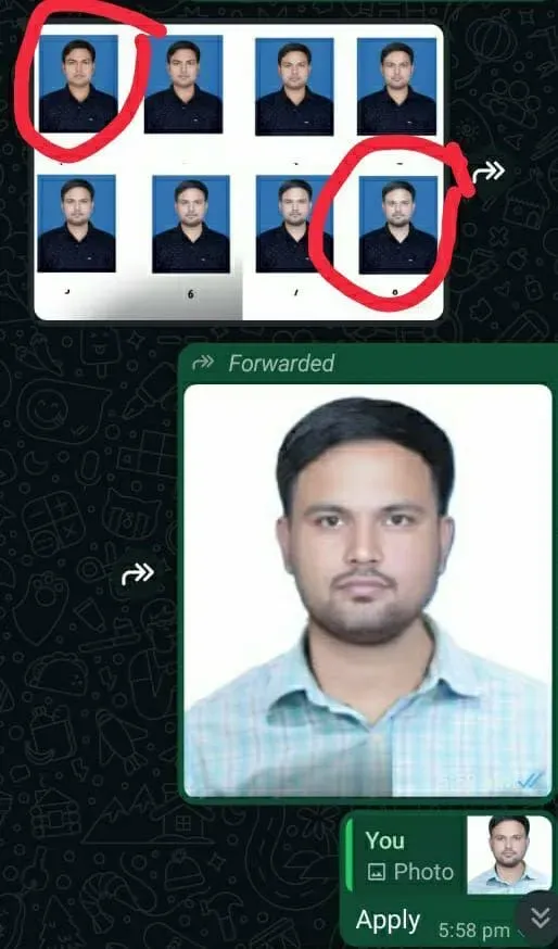 ibps solver gang