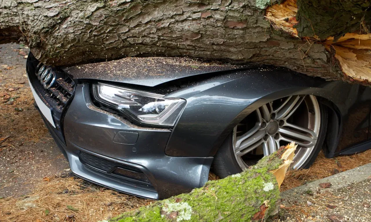 return_to_invoice_cover