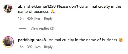 animal cruelty