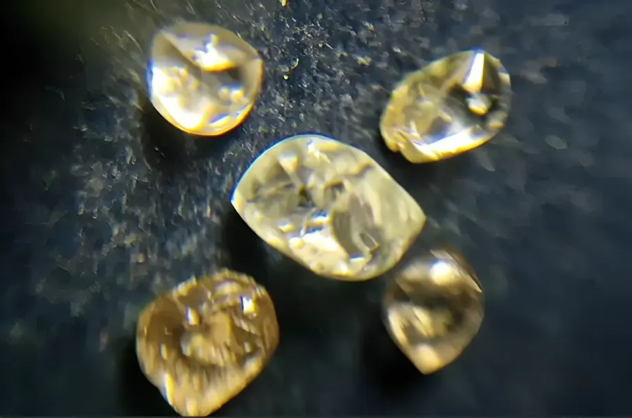 Panna farmer finds 5 diamonds