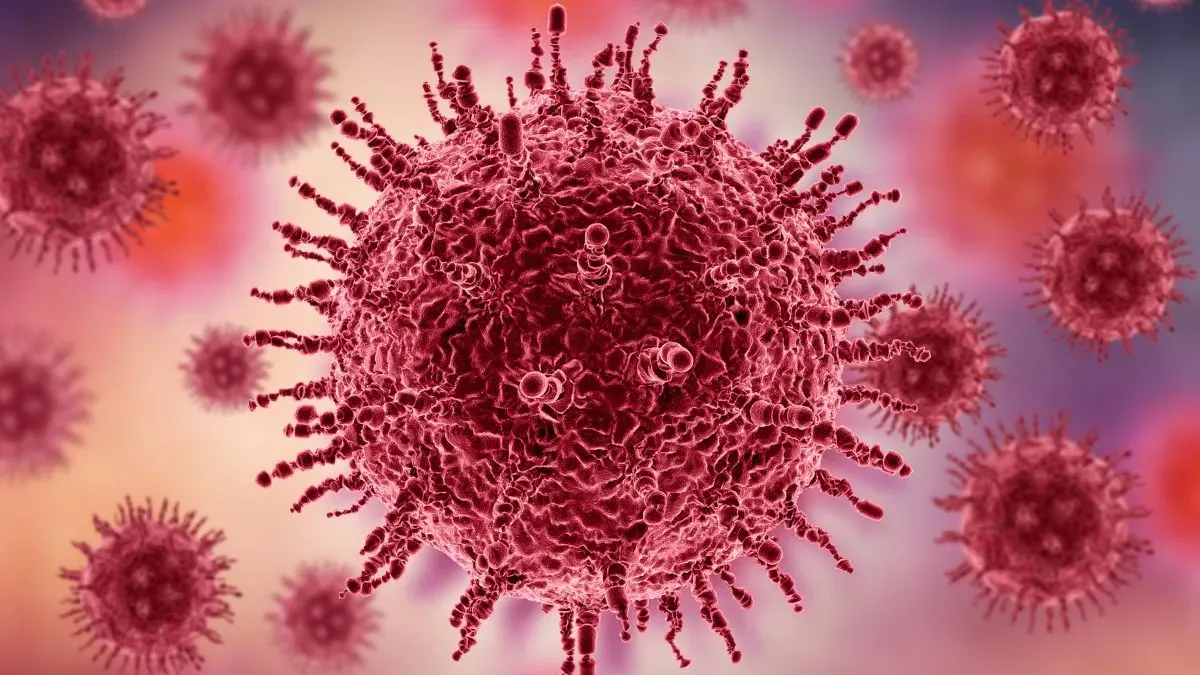 influenza virus
