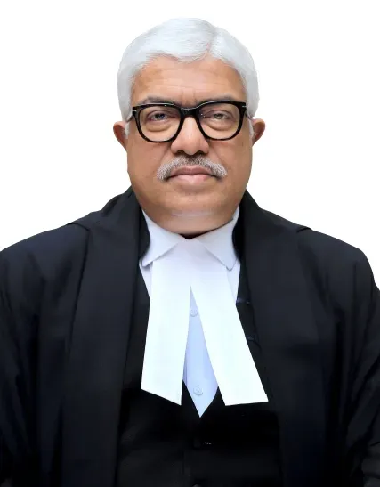 Justice Atul Sreedharan