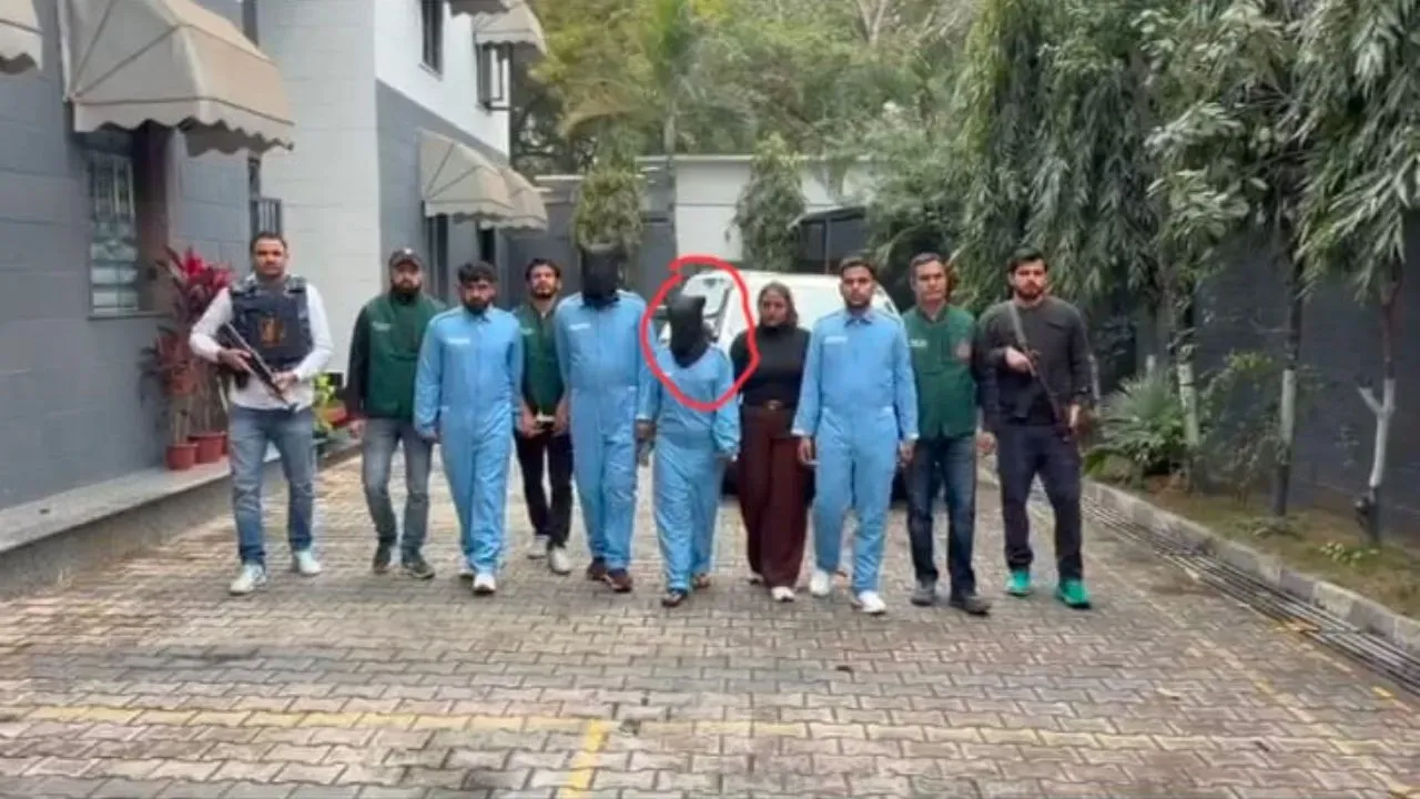 baba kabootar neha lawrence