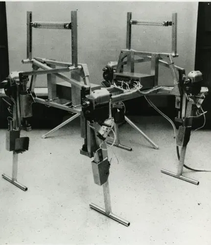 The Phony Pony (तस्वीर: cyberneticzoo)