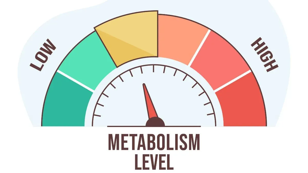 metabolism
