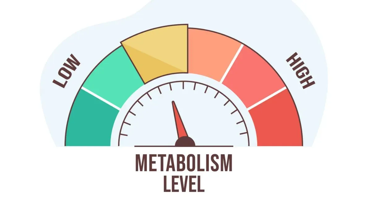 metabolism
