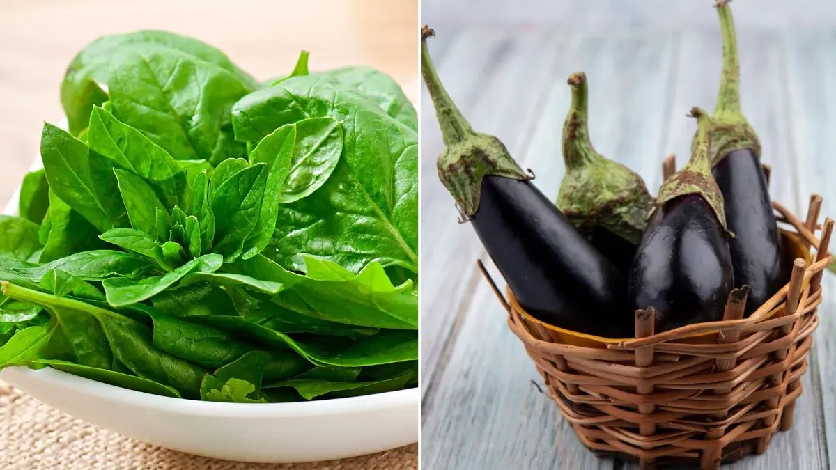 spinach and brinjal