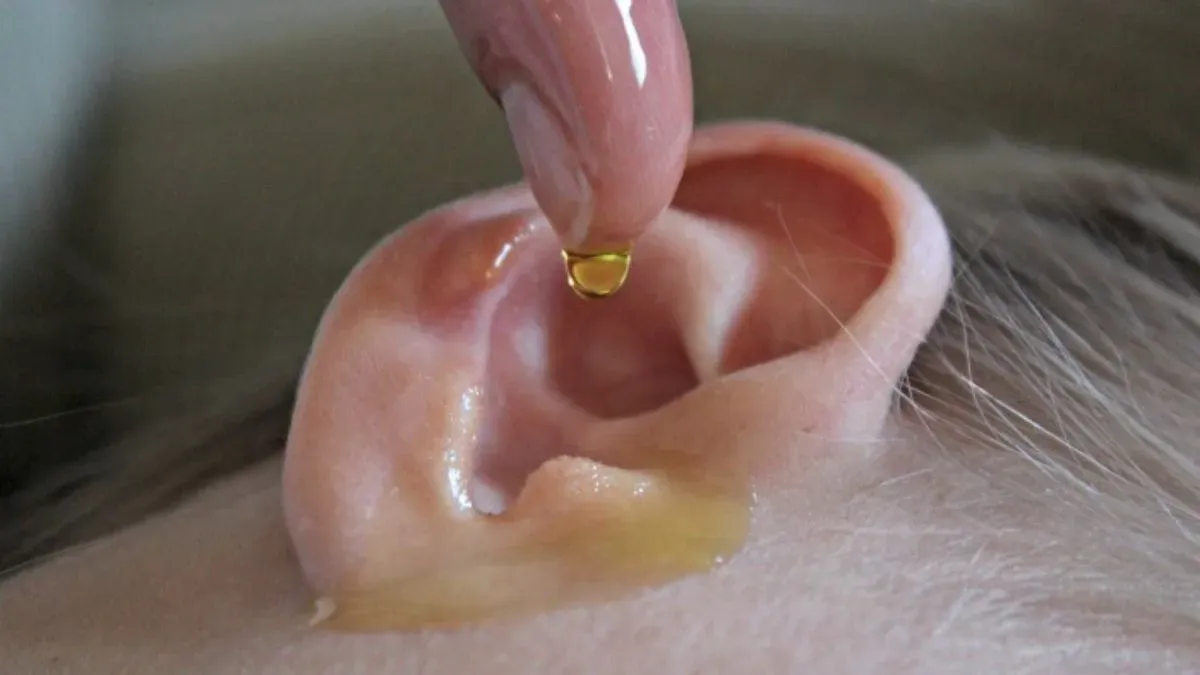 ear oil