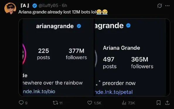 bot purge