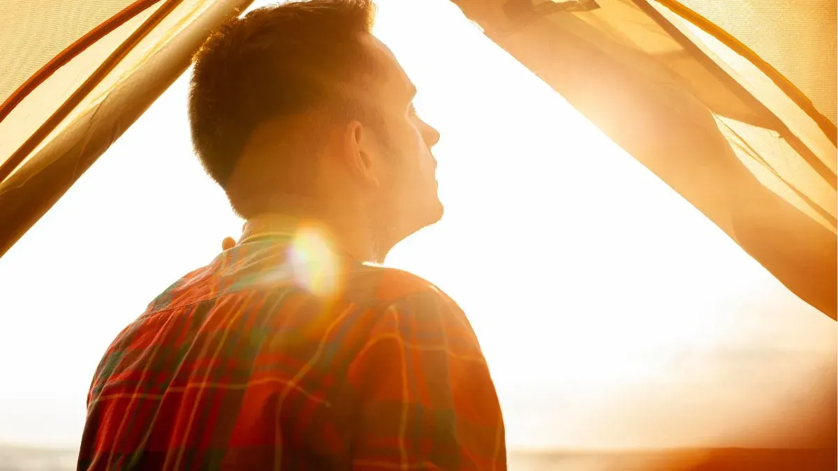 sunlight