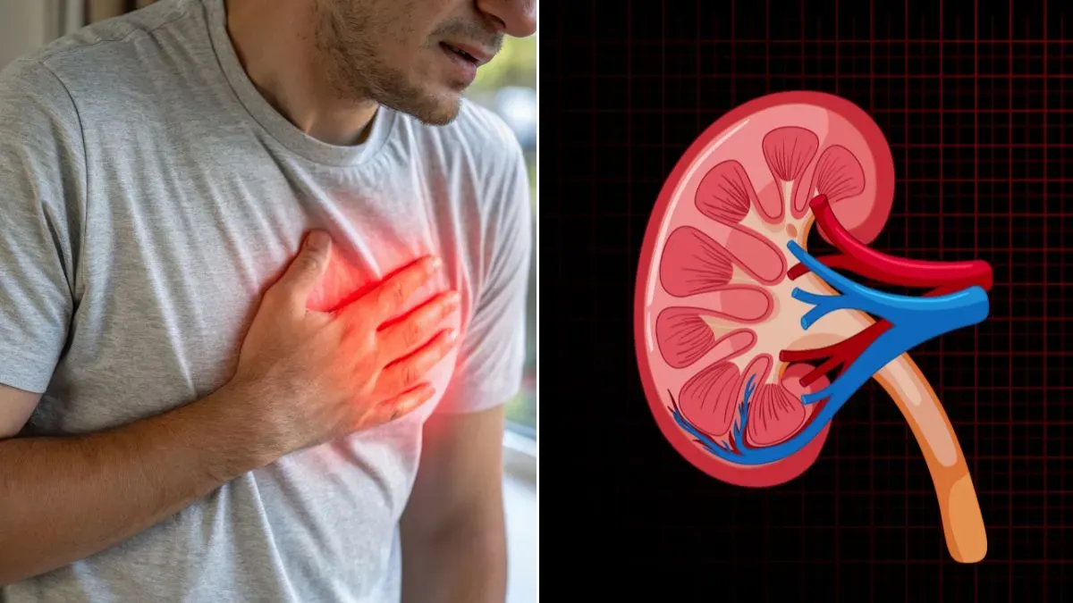 heart and kidney