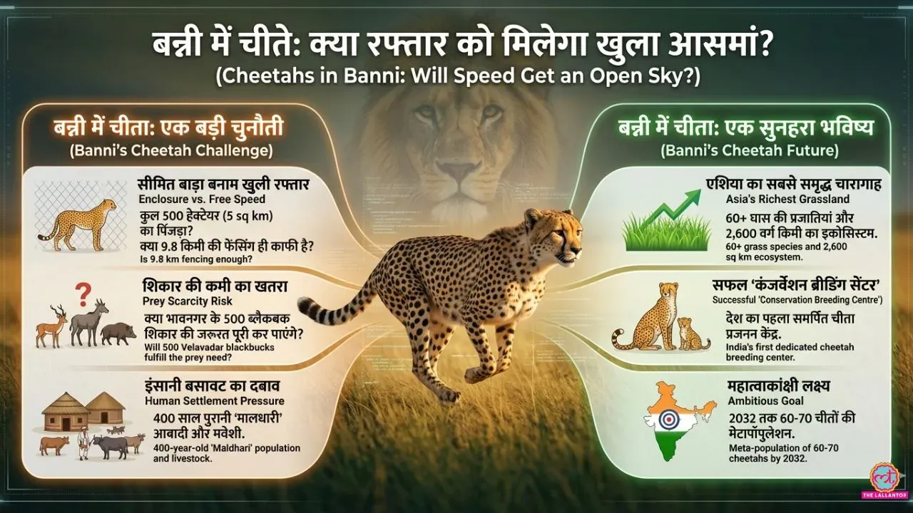 AI की सहायता से तैयार ग्राफिक्स