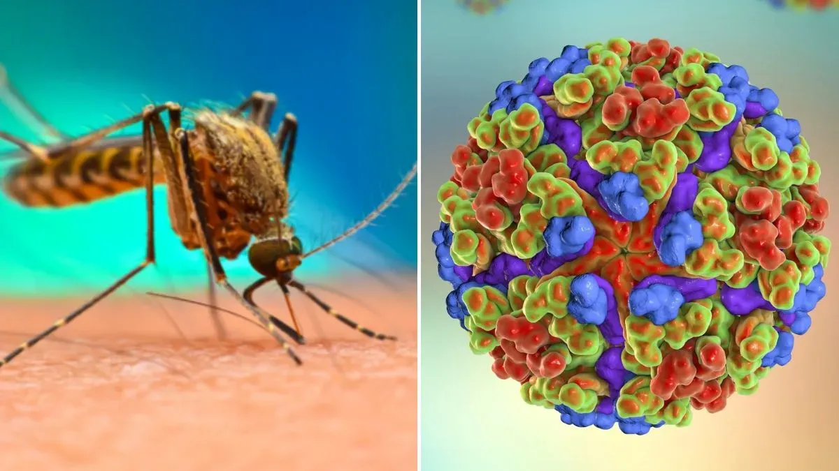 chikungunya