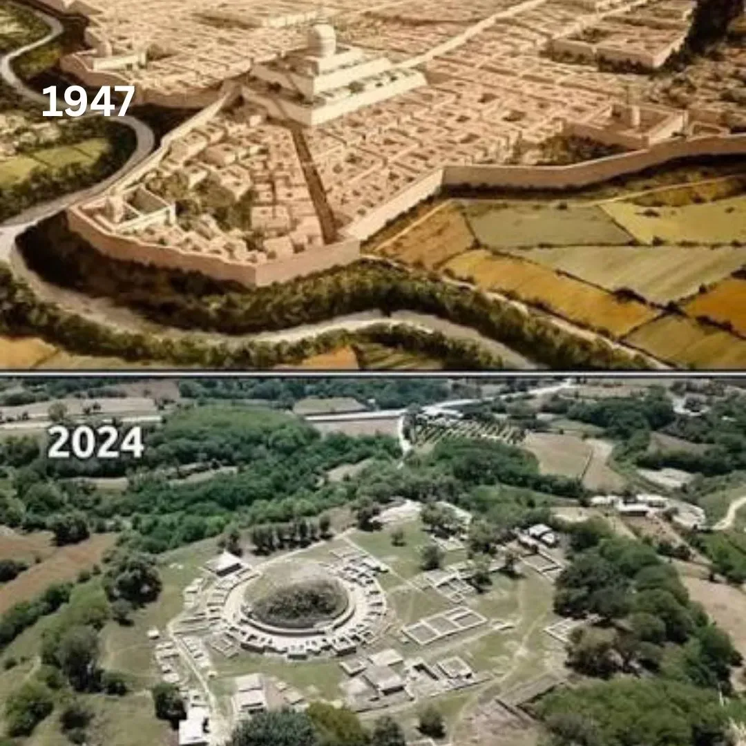 taxila