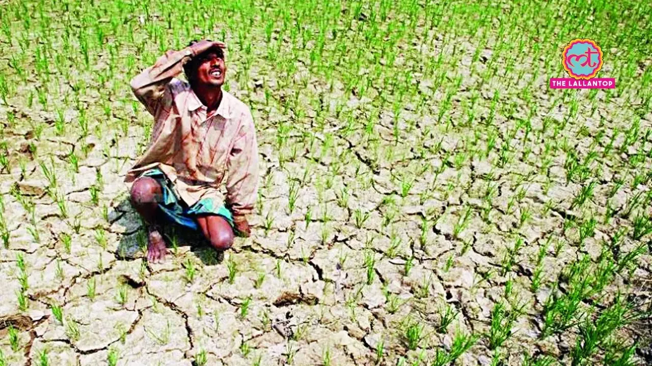 Kisan
