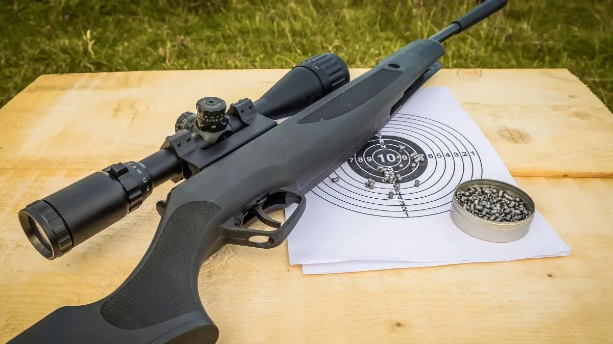 pellet gun