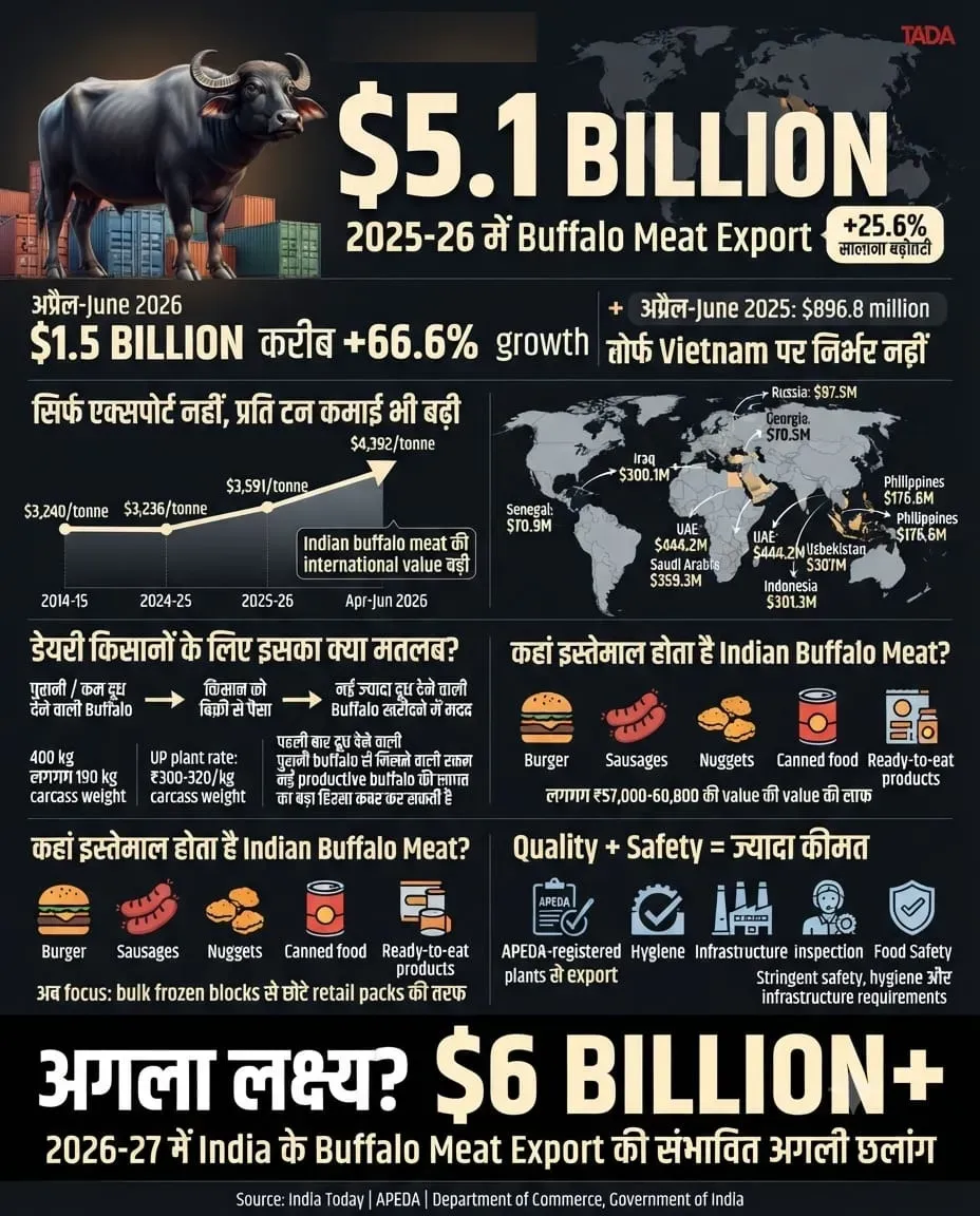 Beef GFX