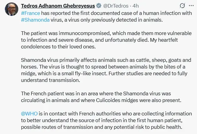 shamonda_virus