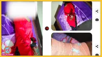 syeda khatoon