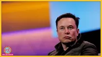Elon Musk File image
