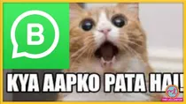 WhatsApp Business: all features explained